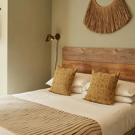 Primrose House St. Ives-2